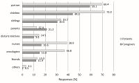 Does anybody support the supporters? Social support in the cancer patient-caregiver dyad