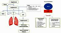 Benefits of standard dose and pulse dose vitamin D
in the high-risk and confirmed hypovitaminosis D population
with COVID-19: an Evidence-Based Case Report (EBCR)