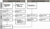 Association of endometriosis with human papillomavirus
(HPV) infection: a systematic review