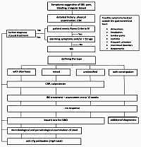 Position of an expert panel on diagnosis
of treatment of irritable bowel syndrome